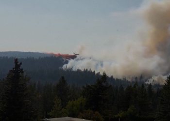 Waldbrände zerstören Hunderte Gebäude in Spokane