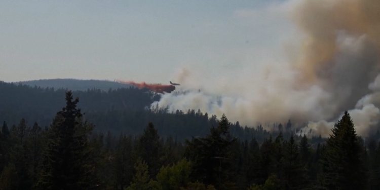 Waldbrände zerstören Hunderte Gebäude in Spokane