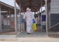 Ebola-Ausbruch im Kongo: WHO warnt, Deutschland hilft