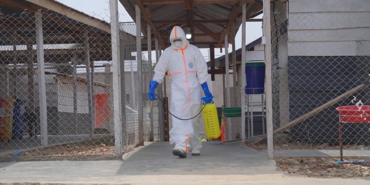 Ebola-Ausbruch im Kongo: WHO warnt, Deutschland hilft
