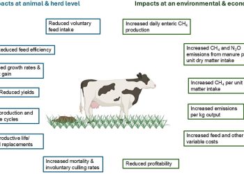 Tiergesundheit kann Emissionen je Produkt senken