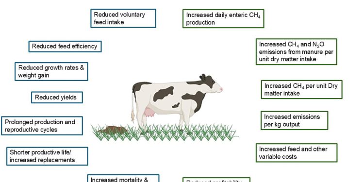Tiergesundheit kann Emissionen je Produkt senken